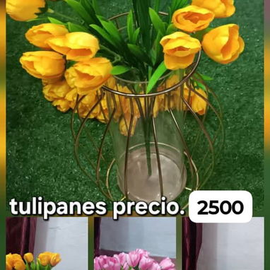 Hermosa planta - Img 121841071