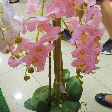 Plantas artificiales originales - 3/9