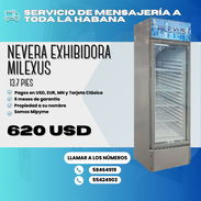 NEVERA EXHIBIDORA VERTICAL DE 13.7 PIES - Img 50313041