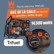 Planta WEN 14500 Primera Mano Revaja - Img 57352774