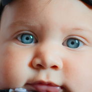 Sesiones fotográficas para Bebés a domicilio 📸 - Img 54048208