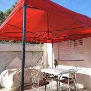 Carpa - Img 56816275