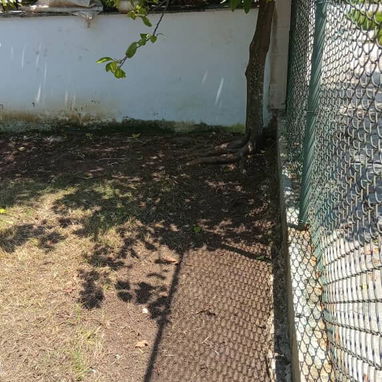 Servicio de jardinería 👩🏼🌾 - Img 127441456