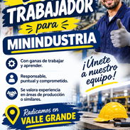 Buscamos trabajador para MININDUSTRIA - Img 57508031