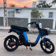 ‼️Vendo bicimoto Bucatti, haciendo todos sus km 🧏🏻♂️50 km por carga ‼️ Sus dos gomas a balón 🛞 Le funciona todo luc - Img 56187876