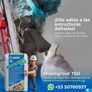 Mapegrout - Img 56503922
