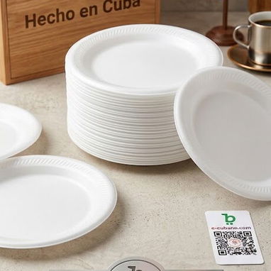 🛑Desechables para fiestas,platos,cucharas,etc - Img 122238530