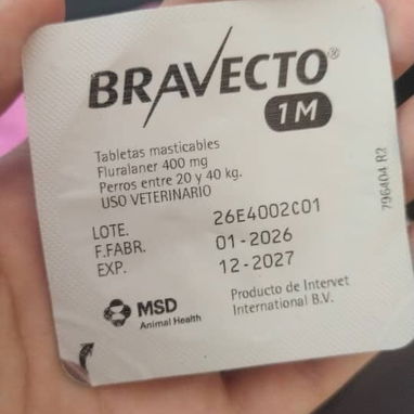 Bravecto - Img 125101535
