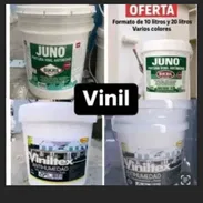 Pintura vinil para embellecer tu hogar - Img 58022445