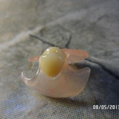 Laboratorio dental - 3/3