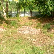 Vendo finca en zona residencial municipio Marianao Reparto Finlay en la Habana - Img 55641783