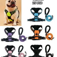 Artículos para mascotas: perros y gatos - Img 50851675