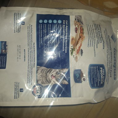 Comida para gatos y perros - Img 122673346