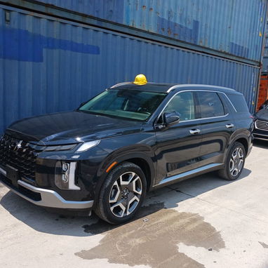 Vendo o negocio yhunday palisade callygrafy del 2023 Con 20 mil millas - 2/6