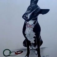 Pinto retratos de mascotas por encargo.. - Img 50422422