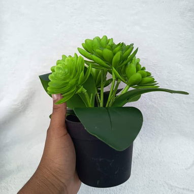 Planta artificial decorativa_cv - Img 121014130