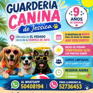 GUARDERÍA CANINA, HOSTAL DE PERRITOS, CUIDO DE PERRITOS EN EL VEDADO - Img 55761771