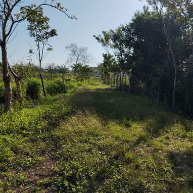 Finca en la zona de la UCI. - Img 125936940