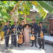 🎺 ¡SORPRENDE A ESA PERSONA ESPECIAL CON "EL MARIACHI REGUETONERO" DE LA HABANA! 🎁 Servicios: • Música mexicana, bala - Img 57123867