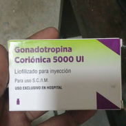 Gonadotripina corionica 5000 ui bulbo - Img 56203106