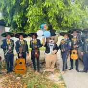 Mariachi en la habana - Img 56994799