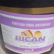 Vinil Antimoho Blanco Nieve ! - Img 48997294
