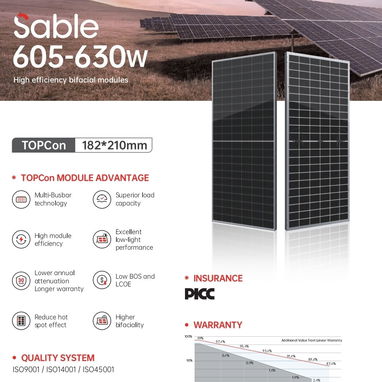 Panel solar 620W Marca Serafín - 2/3