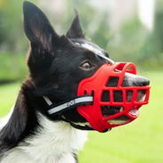 Bozal para perritos de tamaño mediano - Img 56737147
