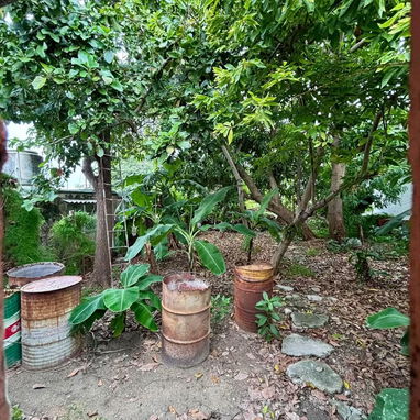 EL HOGAR AMPLIO, TRANQUILO Y SEGURO QUE TU FAMILIA ESTABA BUSCANDO! (SAN MIGUEL - REPARTO CALIFORNIA) - 7/7
