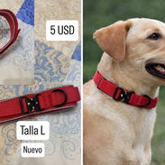 COLLAR DE PERRO NUEVO - Img 54984527
