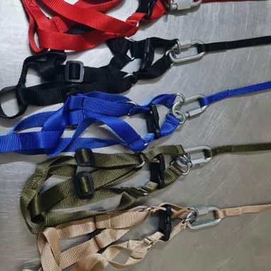 Pecheras para todos los peludos de casa - Img 122082550
