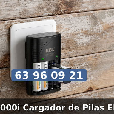 Cargador Pilas EBL - 2/3