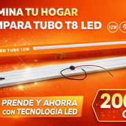 Lampara t8 led de 20 - Img 56941037