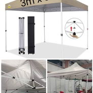 Carpa - Img 56344415