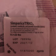 Simparica TRIO - Img 58163691