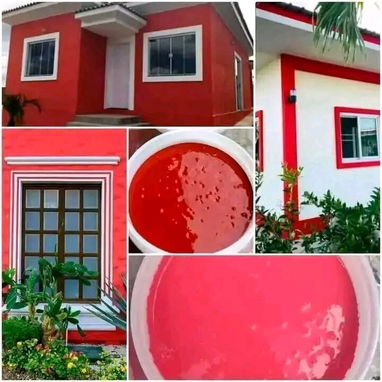 Aquí estás lo q buscas sus pinturas selladas original para sus casas para quitar humedad y filtraciones llame ya - Img 125817107
