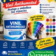 Pintura Para Casas 52849470 Aquí - Img 58294190