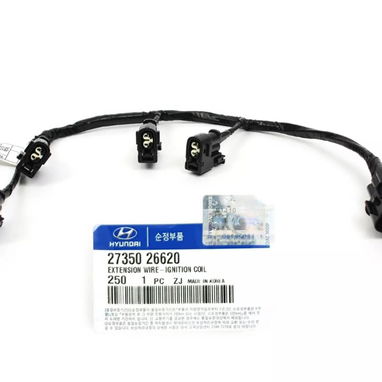 Cables de Bobina de Hyundai Accent y Kia Rio del 2006 al 2010 1.6 - Img 72106401