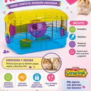 Habitat para hámster - Img 57156100