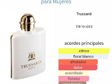 Perfumes ✅Originales✅ Xerjoff - Trussardi - Img 65886072