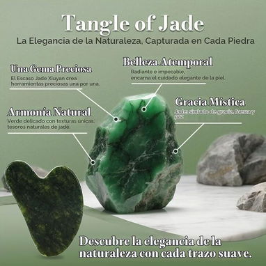 Gua Sha de Jade Natural - 6/7