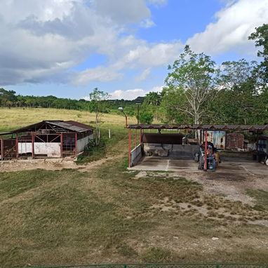 Se vende finca en Bejucal 🌴 - Img 125764296