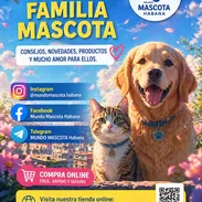 Medicamentos y artículos para perros y gatos - Img 55068446