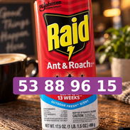 Raid para cucarachas - Img 57474289