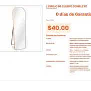 Espejo de cuerpo completo de última generación con acabado minimalista VPT#-0125 - Img 55665856