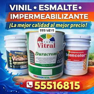 Impermeabilizante y aceite o esmalte - Img 55552087