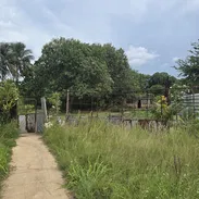 🌳 FINCA DE 5,000 m² CON VIVIENDA EN LUGARDITA, BOYEROS - Img 57523543
