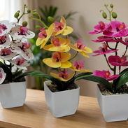 🌸 Hermosas orquídeas para decorar espacios del hogar - Img 58166559