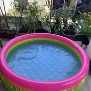 Piscina inflables - Img 56921176