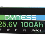 Batería LiFePO4 24V100Ah (2560Wh) Dyness con BMS 100A y Protección de Baja Temperatura - Ideal para Sistema Solar, RV y - Img 56812963